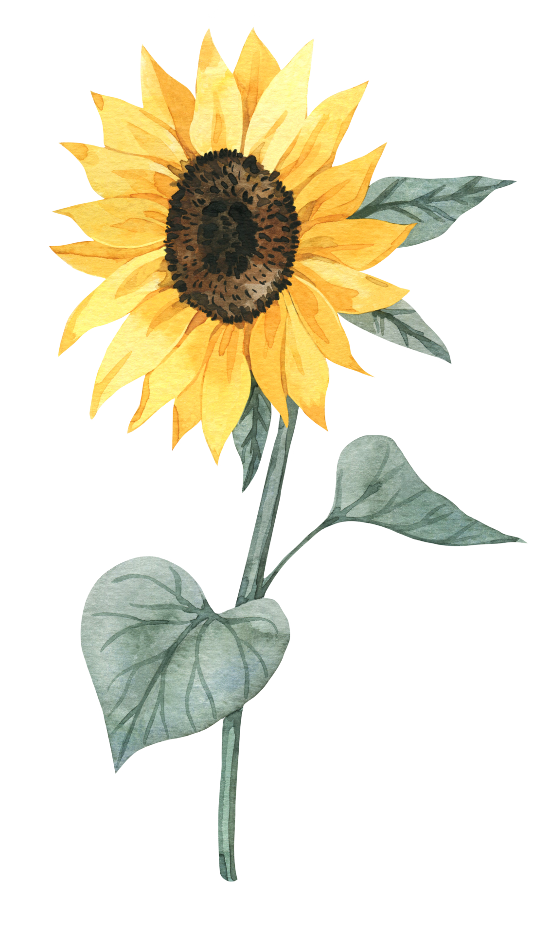 Über mich - Anjuliana