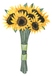 Anjuliana Sonnenblumen